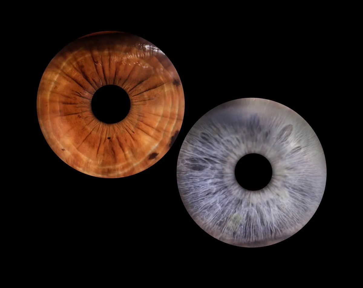 Couple iris composition combining the individual irises of Olivier and Frédérique on a black background