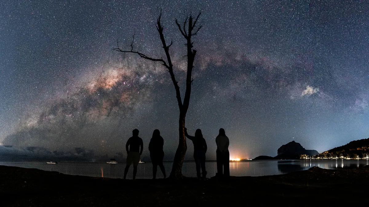 Group of people silhouetted beside a bare tree beneath the Milky Way on a clear night